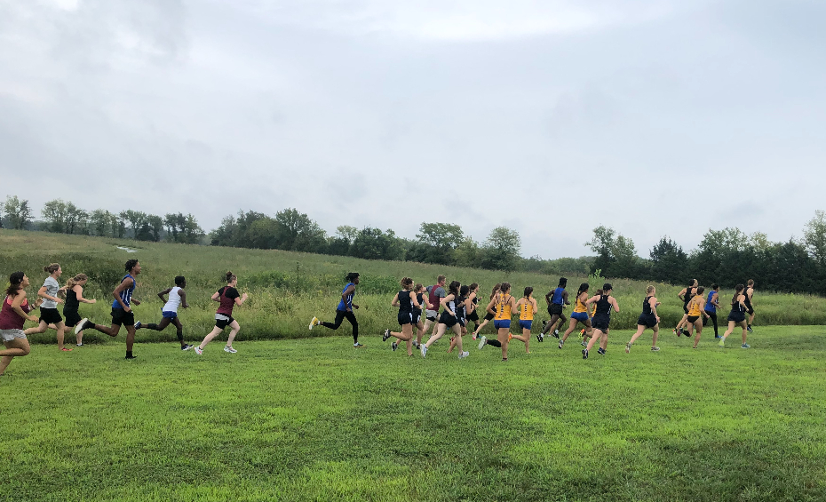 CROSS COUNTRY FINISHES THIRD AT NCCAA FALCON CLASSIC