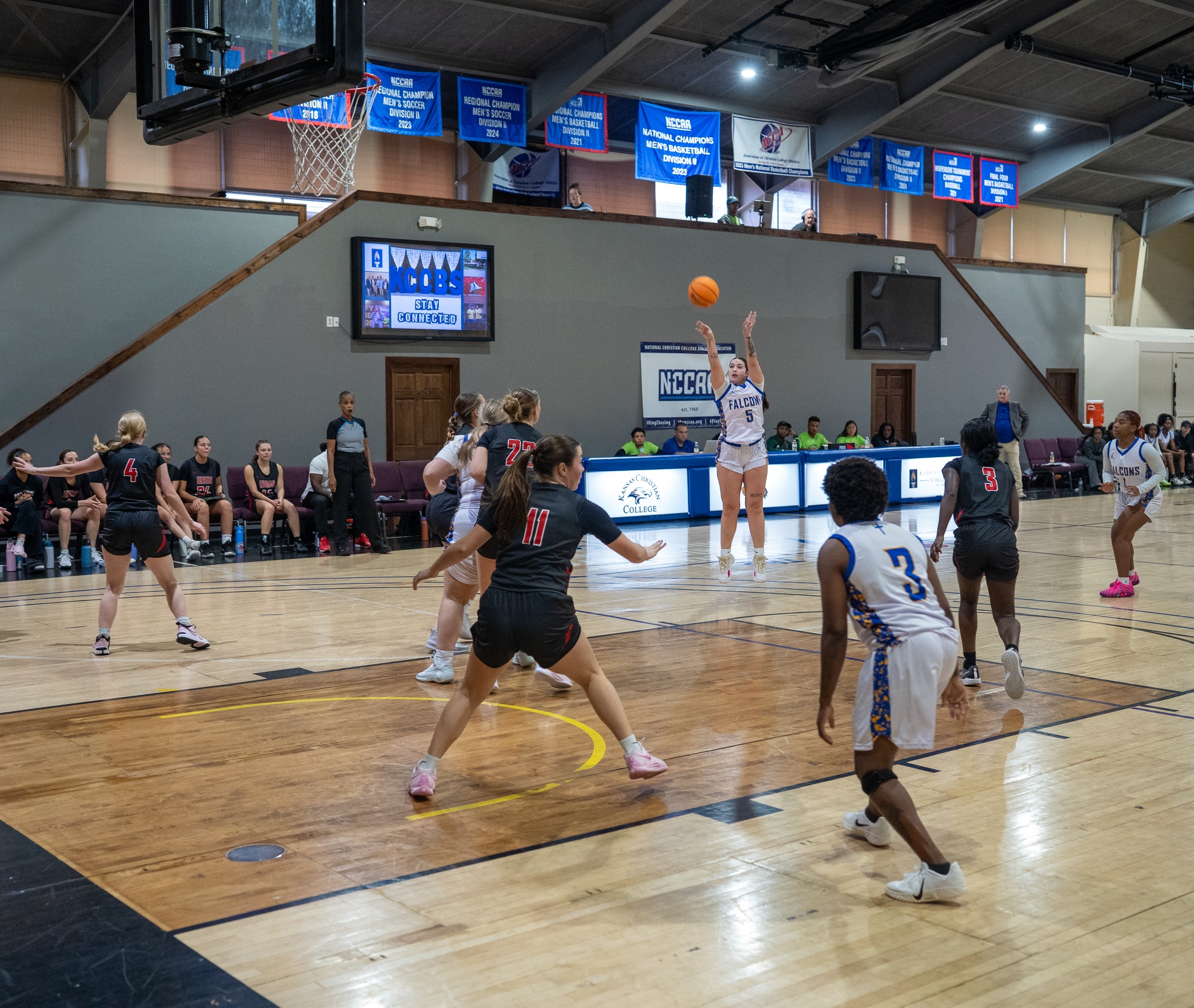 Winning Ways Continue at Home for Women's Basketball