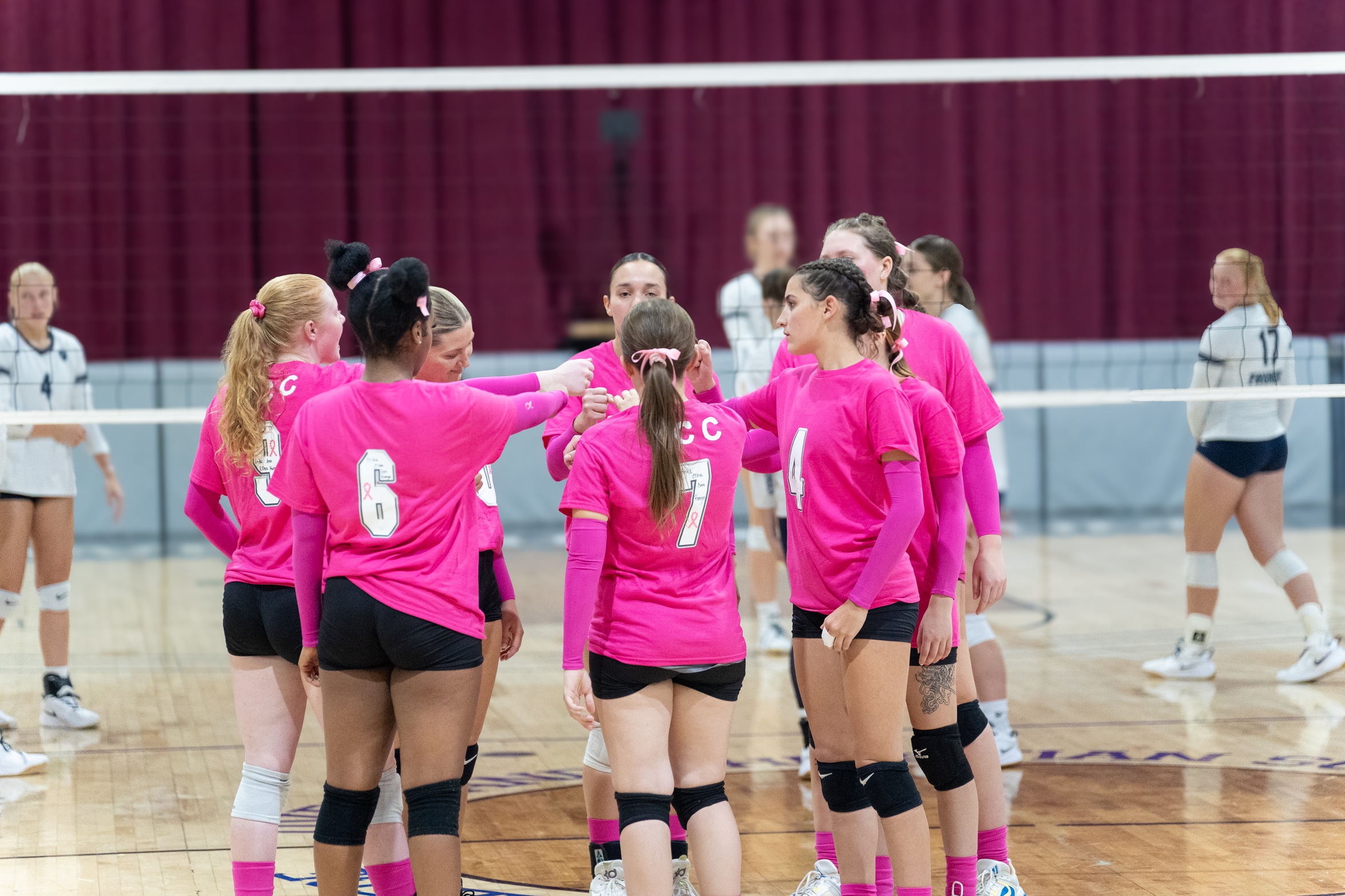 Falcons Volleyball Makes Changes to Fall Schedule